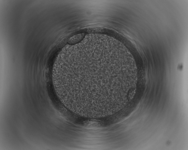 X0000116600224201001221304