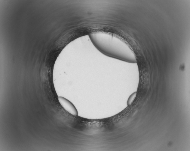 X0000116600225201001221304