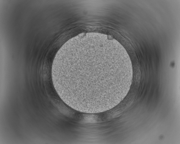 X0000116600226201001221304