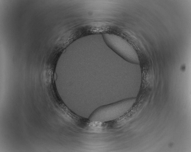 X0000116600227201001221304