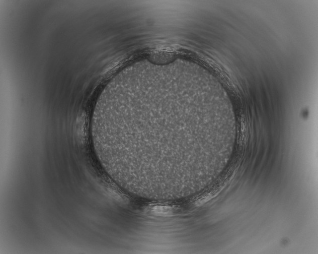 X0000116600228201001221304