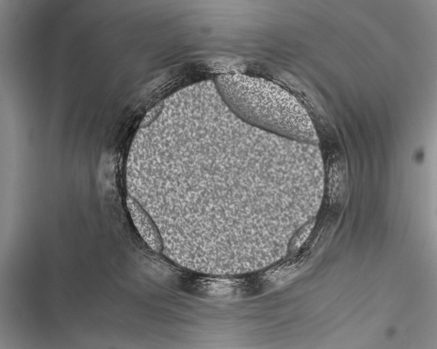 X0000116600229201001221304