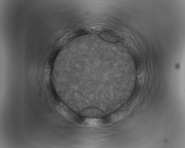 X0000116600231201001221304