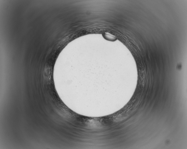 X0000116600232201001221304