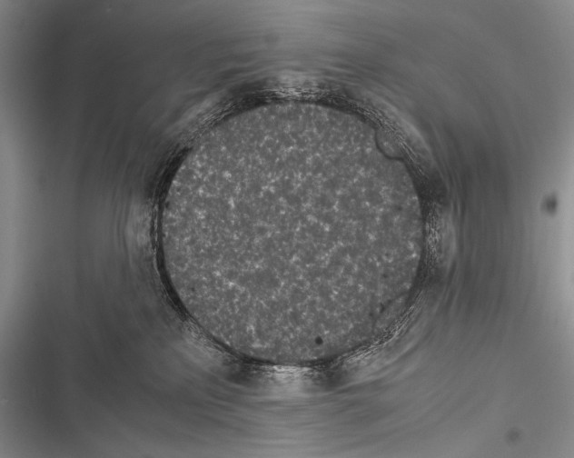 X0000116600233201001221304