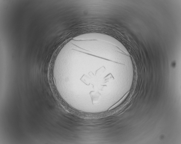 X0000116600235201001221304