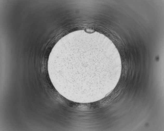 X0000116600236201001221304