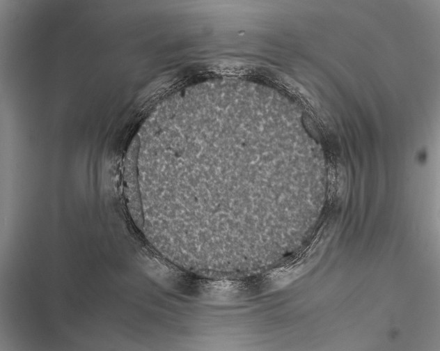 X0000116600237201001221304