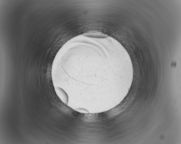 X0000116600240201001221304