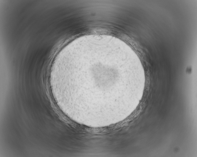 X0000116600241201001221303