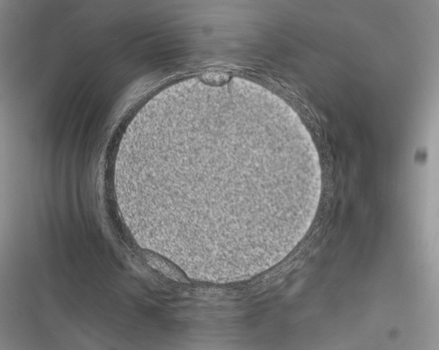 X0000116600242201001221303