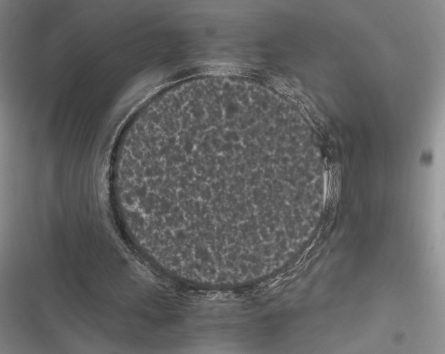 X0000116600243201001221303