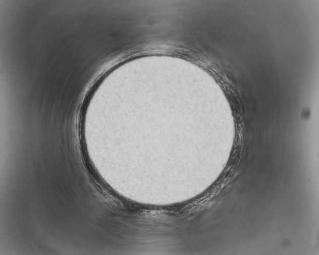 X0000116600244201001221303