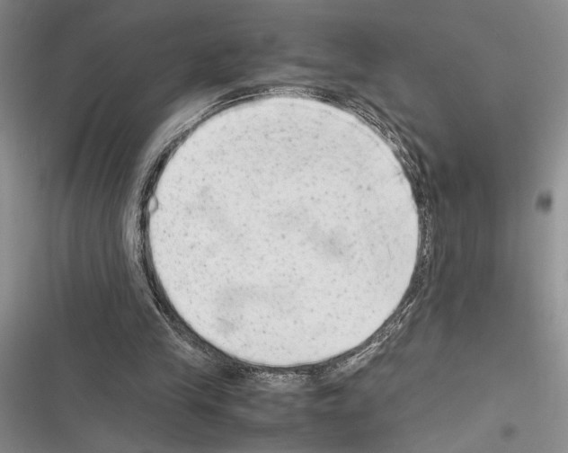 X0000116600245201001221303