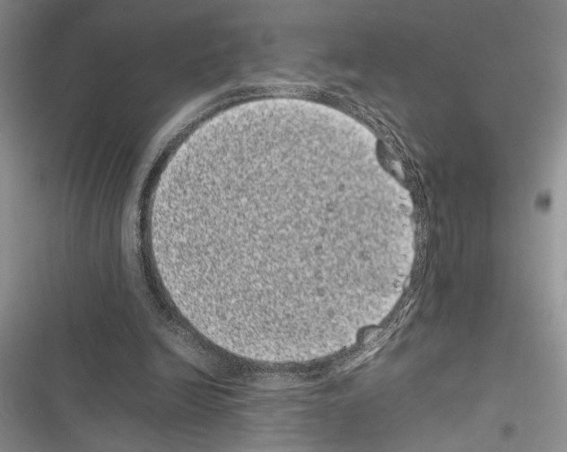 X0000116600246201001221303