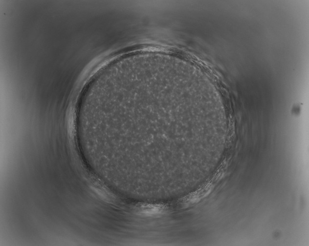 X0000116600247201001221303