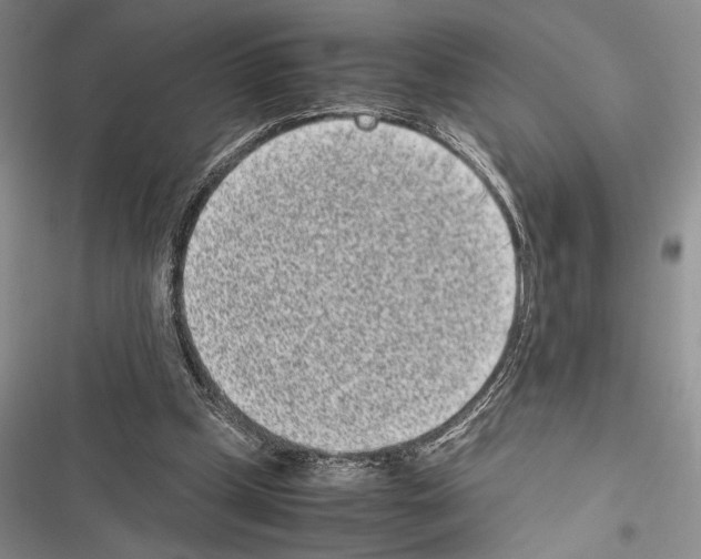 X0000116600249201001221304