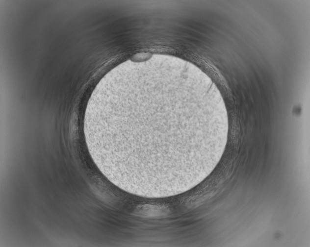 X0000116600251201001221304