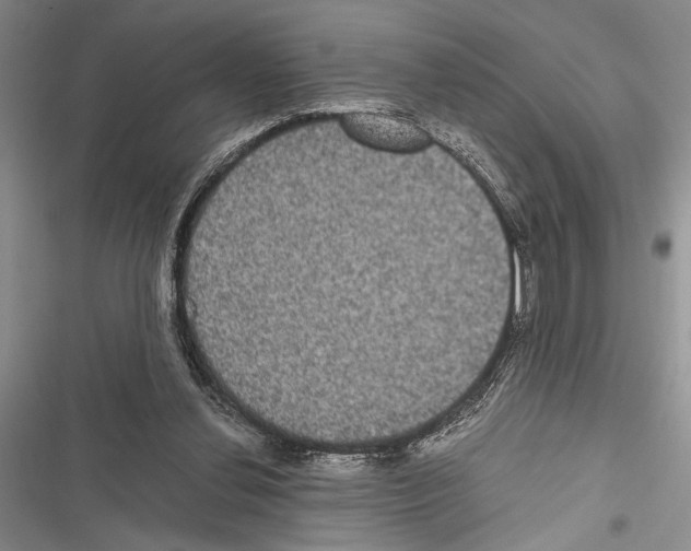 X0000116600252201001221304