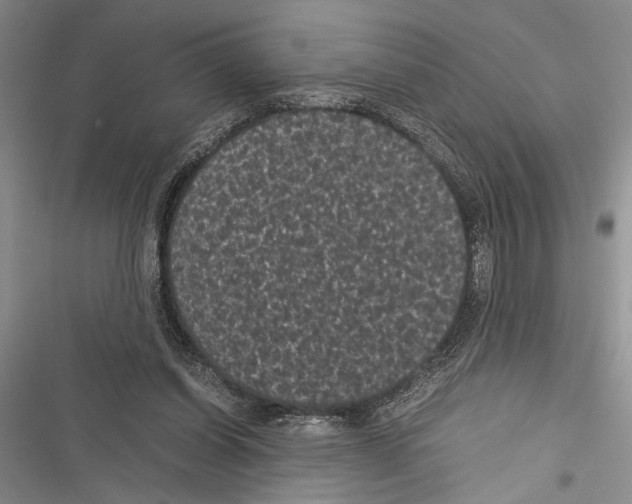X0000116600254201001221304