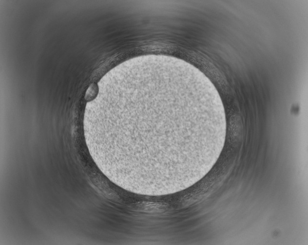 X0000116600255201001221304