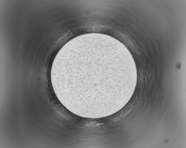 X0000116600258201001221304