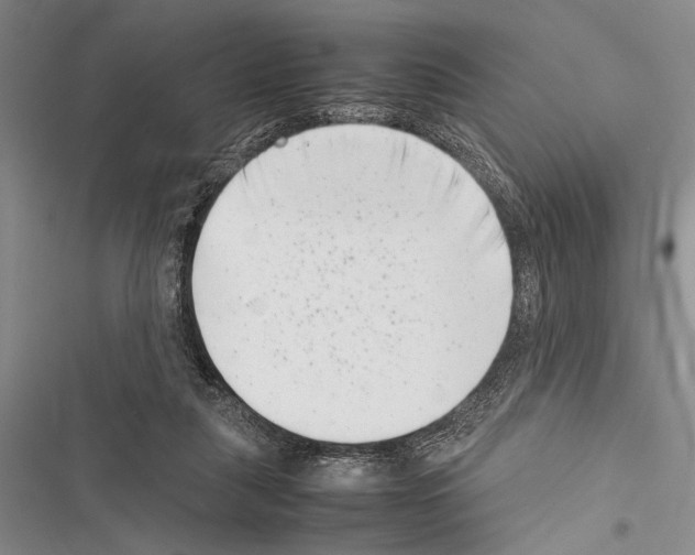 X0000116600259201001221304