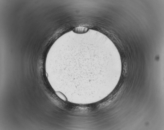 X0000116600260201001221304