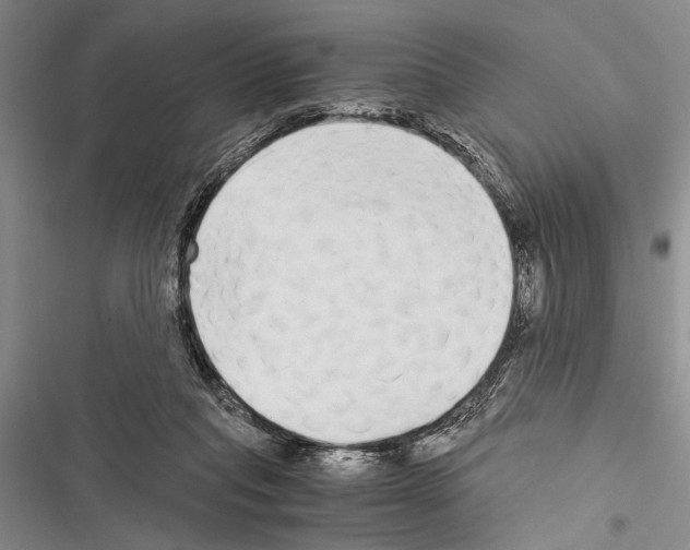 X0000116600261201001221304