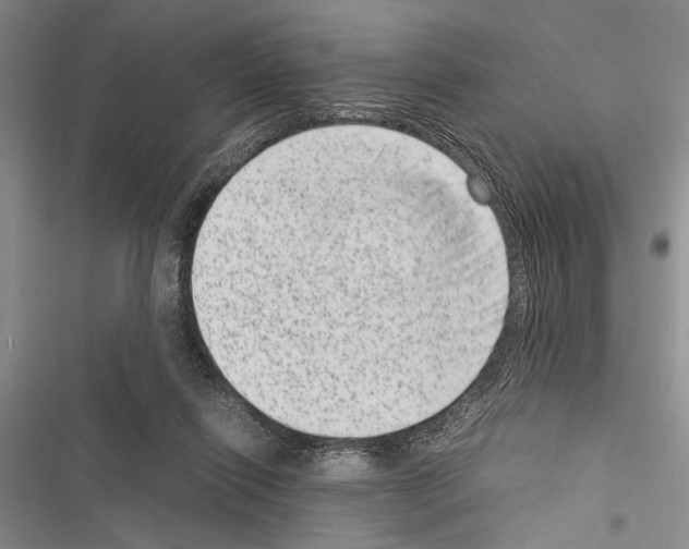 X0000116600262201001221304