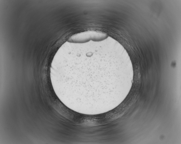 X0000116600263201001221304