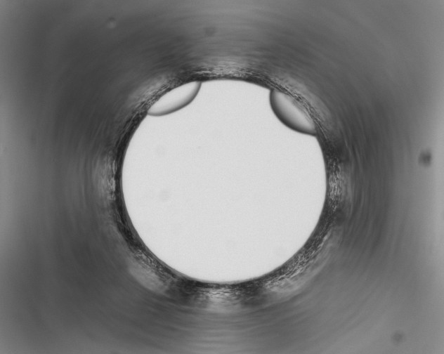 X0000116600264201001221304