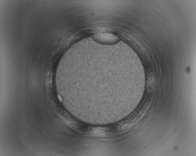 X0000116600268201001221304