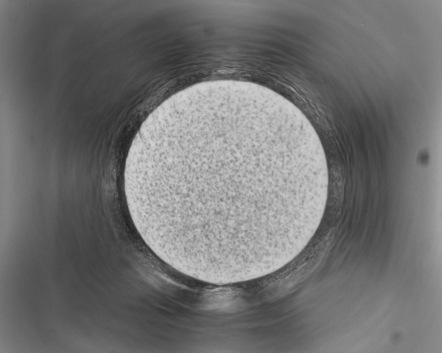 X0000116600269201001221304