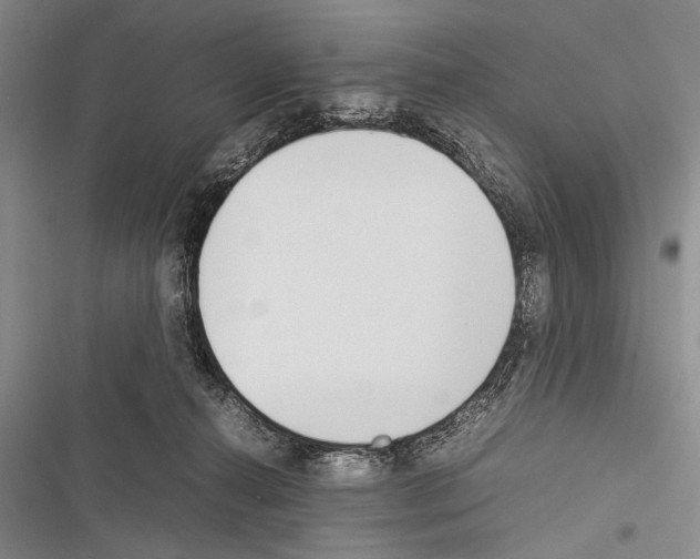 X0000116600272201001221304