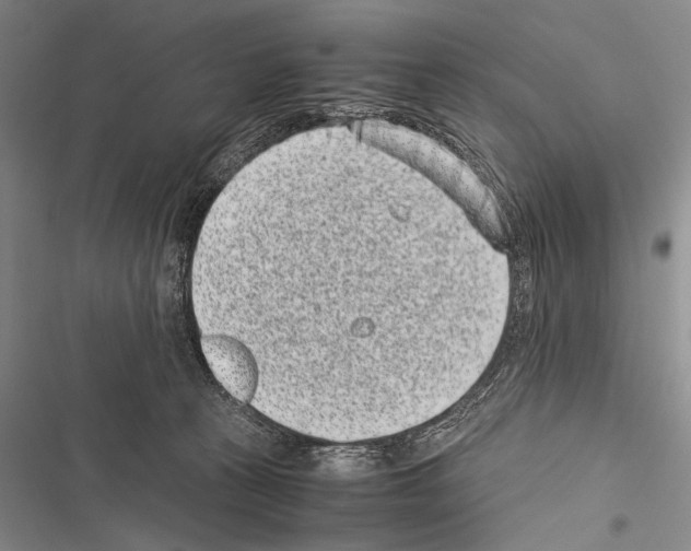 X0000116600273201001221304