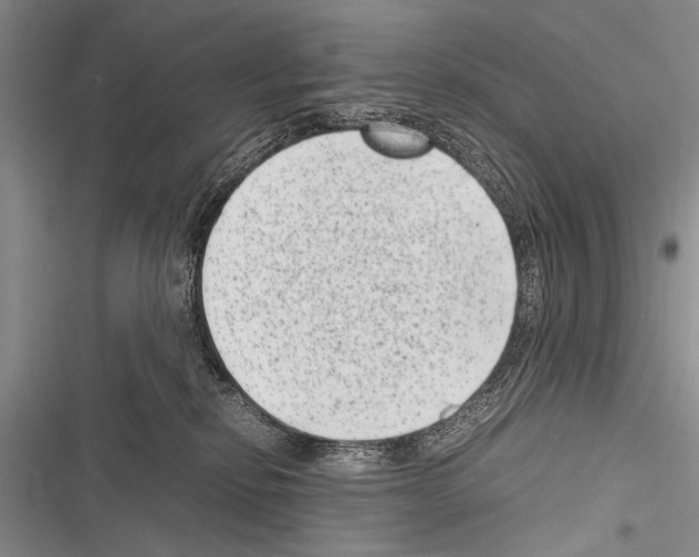 X0000116600278201001221304