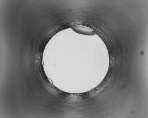 X0000116600280201001221304