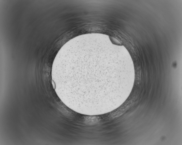 X0000116600281201001221304