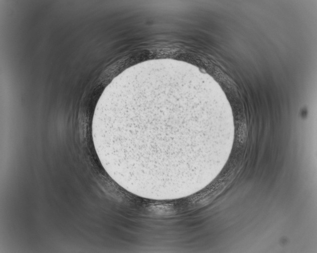 X0000116600283201001221304