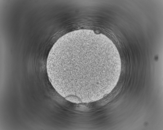 X0000116600285201001221304