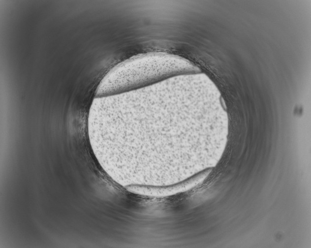 X0000116600288201001221304