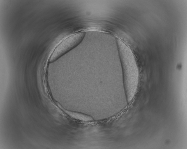 X0000116600289201001221303