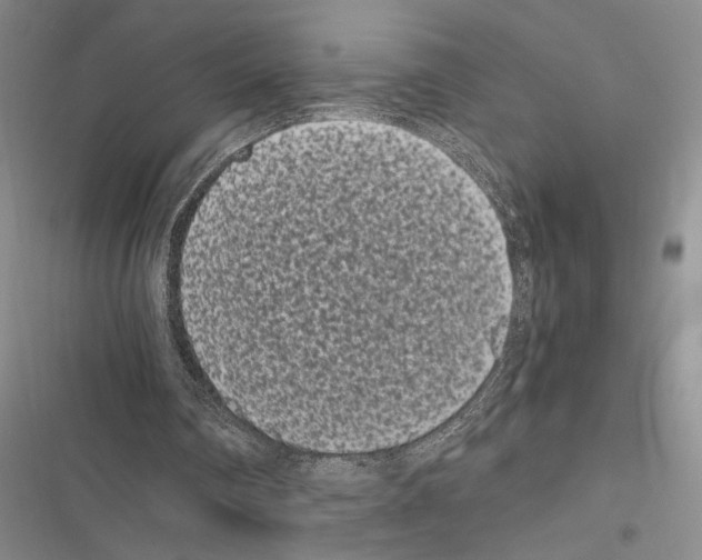 X0000116600290201001221303