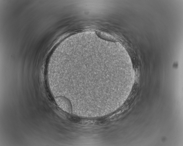 X0000116600291201001221303