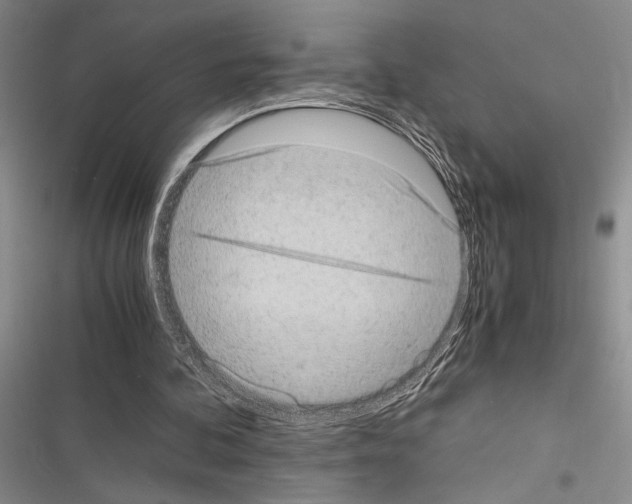 X0000116600292201001221303