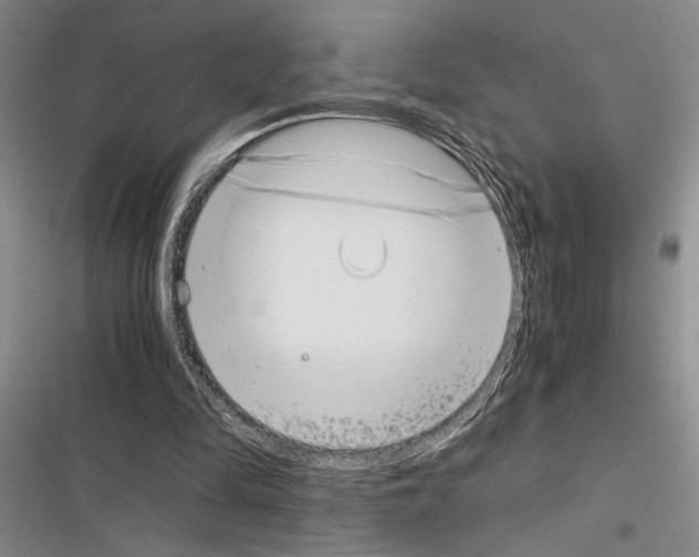 X0000116600294201001221303
