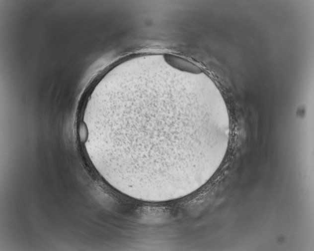 X0000116600296201001221303