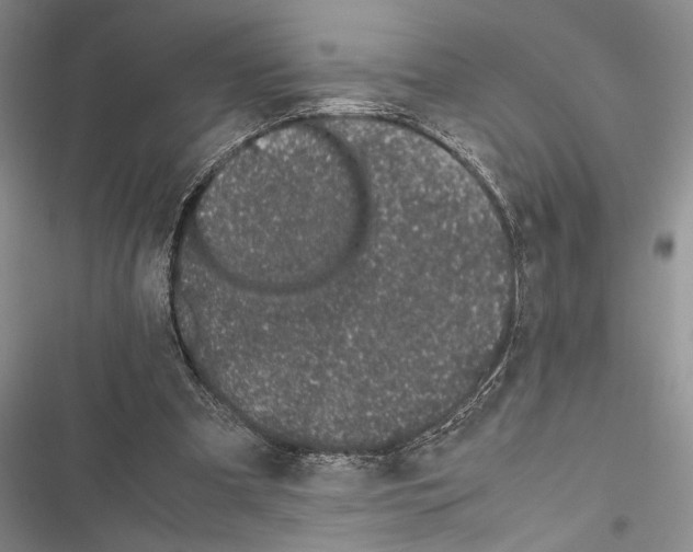 X0000116600297201001221303