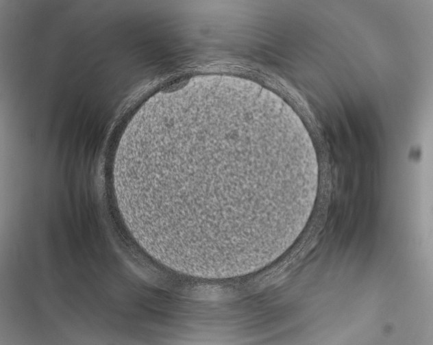 X0000116600298201001221303